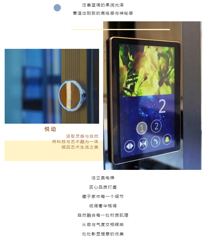 奢華別墅電梯