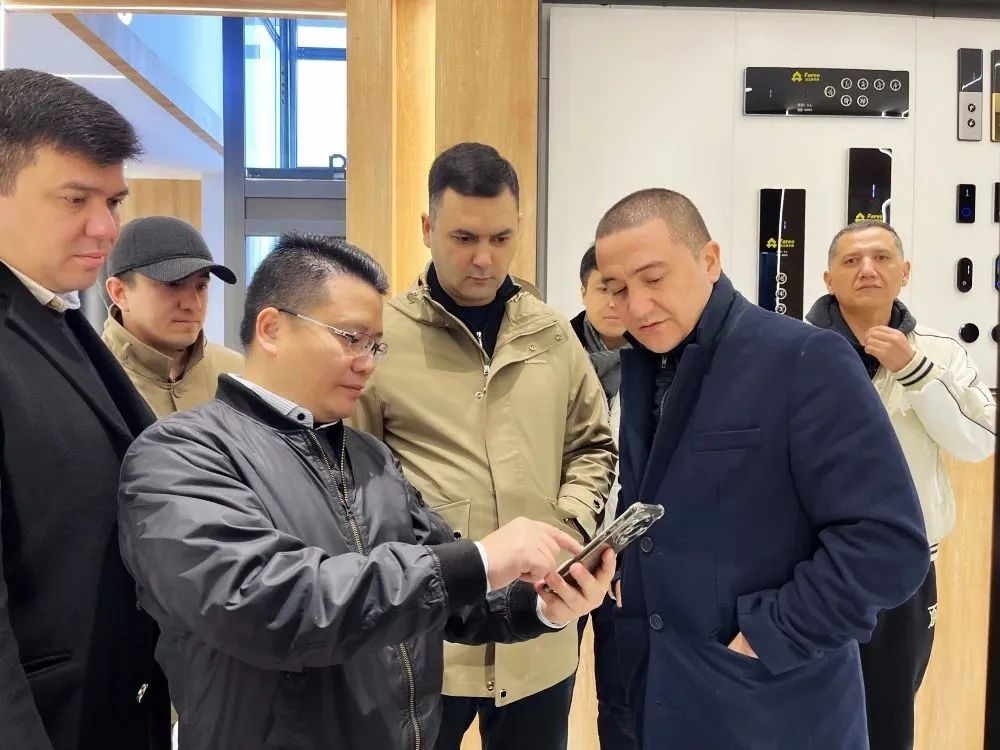 高端別墅觀光電梯