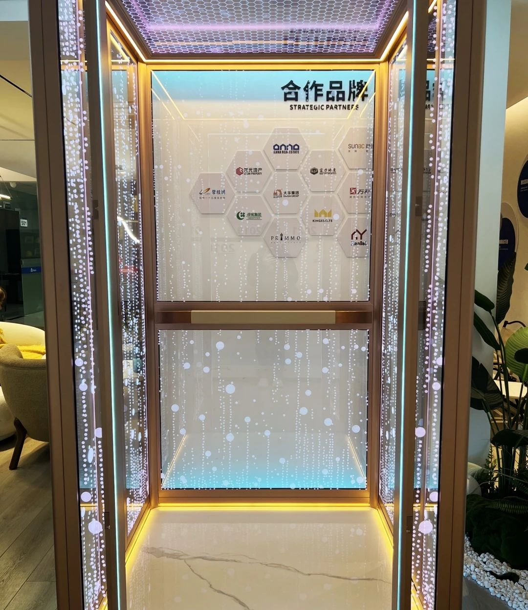 法立奧新款觀光電梯
